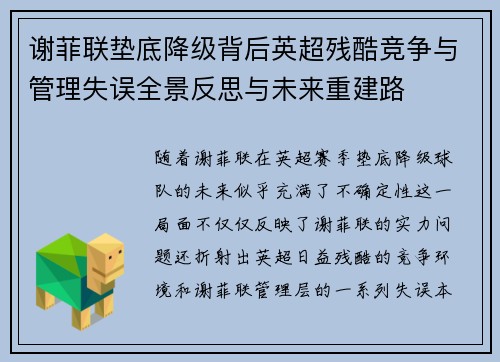 谢菲联垫底降级背后英超残酷竞争与管理失误全景反思与未来重建路